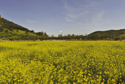 타박타박, 초봄날의 봉하마을 산책