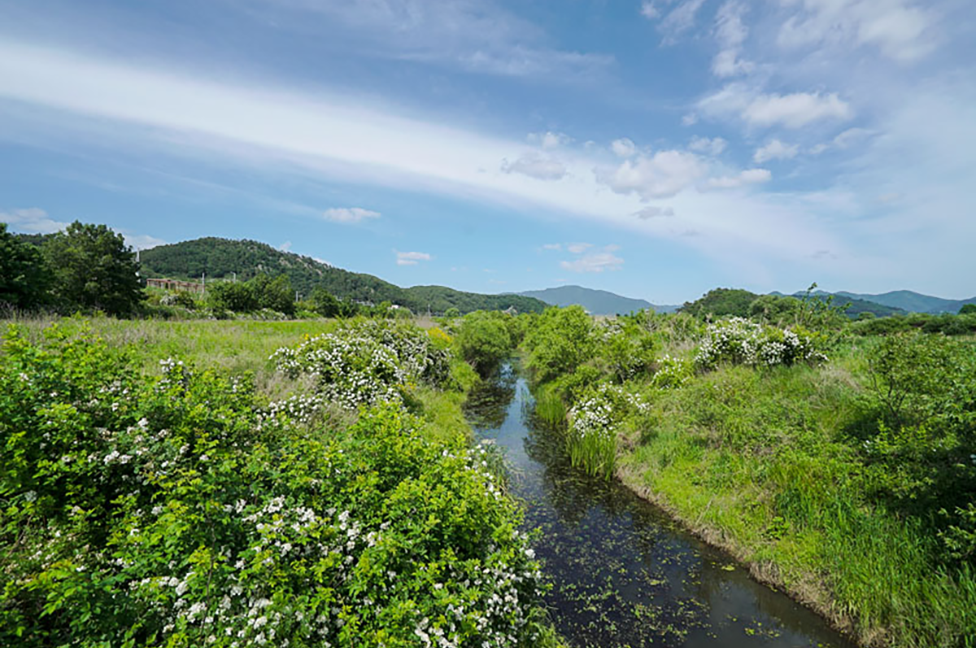 슬로시티 김해의 보물, 화포천습지생태공원