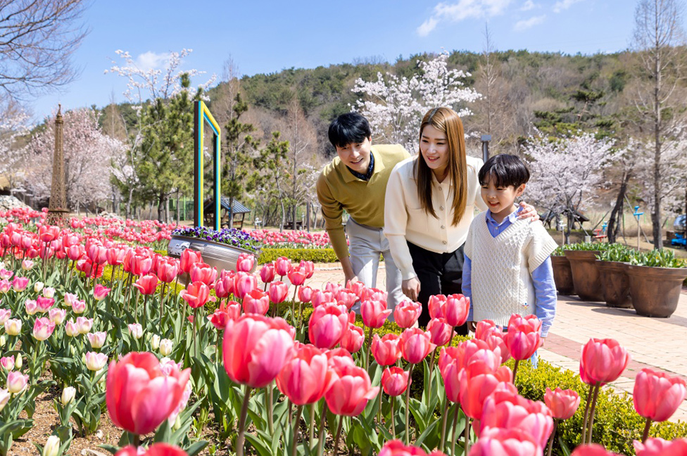 김해가야테마파크, 5월 ‘가족사랑 축제’ 개최