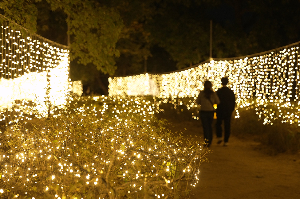 김해 축제, 전통과 혁신의 조화